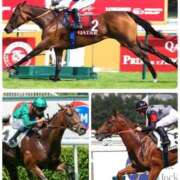 ヒメ日記 2025/10/01 03:52 投稿 しおん 熟女の風俗最終章 池袋店