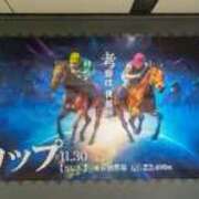 ヒメ日記 2025/11/26 21:24 投稿 しおん 熟女の風俗最終章 池袋店