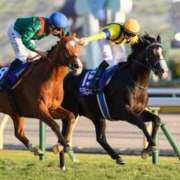 ヒメ日記 2025/11/30 17:32 投稿 しおん 熟女の風俗最終章 池袋店