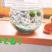 ヒメ日記 2026/03/22 13:22 投稿 しおん 熟女の風俗最終章 池袋店