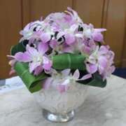 ヒメ日記 2026/03/26 11:25 投稿 しおん 熟女の風俗最終章 池袋店