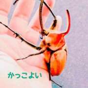 ヒメ日記 2026/06/21 11:22 投稿 しおん 熟女の風俗最終章 池袋店