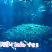 ヒメ日記 2025/04/22 15:36 投稿 なこ 素人妻御奉仕倶楽部Hip's松戸店