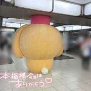 ヒメ日記 2025/08/21 17:57 投稿 なこ 素人妻御奉仕倶楽部Hip's松戸店