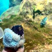 なこ 次回18:00~ 素人妻御奉仕倶楽部Hip's松戸店