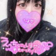 ヒメ日記 2025/02/08 12:52 投稿 みおな おっぱい東京