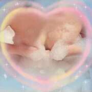 ヒメ日記 2025/04/02 16:25 投稿 ジュンナ バニーコレクション新潟店