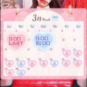 ヒメ日記 2026/03/01 16:38 投稿 ジュンナ バニーコレクション新潟店