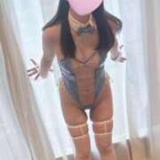 ヒメ日記 2026/03/25 02:59 投稿 ジュンナ バニーコレクション新潟店