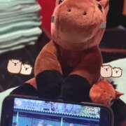 ヒメ日記 2026/03/27 03:33 投稿 ジュンナ バニーコレクション新潟店