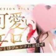 ヒメ日記 2026/07/05 01:55 投稿 ジュンナ バニーコレクション新潟店