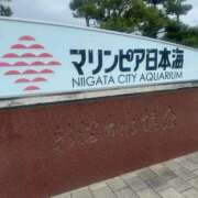 ヒメ日記 2026/07/31 14:10 投稿 ジュンナ バニーコレクション新潟店