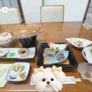 ヒメ日記 2026/08/25 21:00 投稿 ジュンナ バニーコレクション新潟店