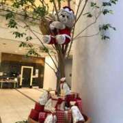 ヒメ日記 2025/11/20 23:51 投稿 千春 素人妻達☆マイふぇらレディー