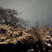 ヒメ日記 2026/03/31 11:58 投稿 千春 素人妻達☆マイふぇらレディー