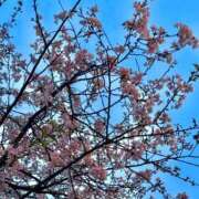 ヒメ日記 2025/04/02 17:00 投稿 もえ 川崎ソープ　クリスタル京都南町