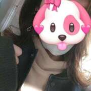 ヒメ日記 2024/12/14 17:22 投稿 めいさ sakura