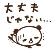 ヒメ日記 2024/12/30 14:22 投稿 めいさ sakura