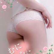 ヒメ日記 2025/04/07 13:30 投稿 桑野(くわの)奥様 新潟人妻デリバリーヘルス下心