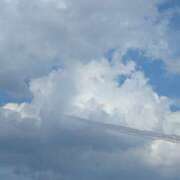 ヒメ日記 2025/07/12 16:29 投稿 しいな 奥鉄オクテツ兵庫