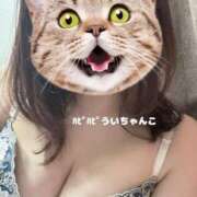 ヒメ日記 2024/12/27 11:19 投稿 うい 鹿児島ちゃんこ霧島店