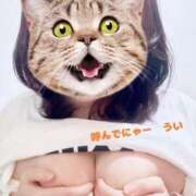 ヒメ日記 2025/01/01 18:29 投稿 うい 鹿児島ちゃんこ霧島店