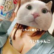 ヒメ日記 2025/01/18 11:39 投稿 うい 鹿児島ちゃんこ霧島店