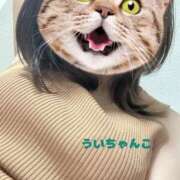 ヒメ日記 2025/01/29 12:08 投稿 うい 鹿児島ちゃんこ霧島店