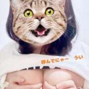 ヒメ日記 2025/01/29 12:19 投稿 うい 鹿児島ちゃんこ霧島店