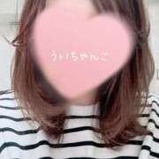 ヒメ日記 2025/02/07 14:59 投稿 うい 鹿児島ちゃんこ霧島店