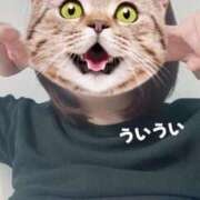 ヒメ日記 2025/03/30 10:29 投稿 うい 鹿児島ちゃんこ霧島店