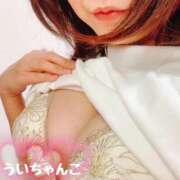 ヒメ日記 2025/03/31 12:59 投稿 うい 鹿児島ちゃんこ霧島店