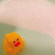 ヒメ日記 2025/04/26 23:59 投稿 うい 鹿児島ちゃんこ霧島店