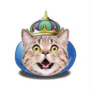 ヒメ日記 2025/05/16 23:40 投稿 うい 鹿児島ちゃんこ霧島店