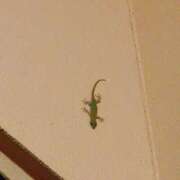 ヒメ日記 2025/05/22 22:09 投稿 うい 鹿児島ちゃんこ霧島店