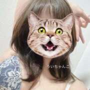 ヒメ日記 2025/07/02 17:19 投稿 うい 鹿児島ちゃんこ霧島店