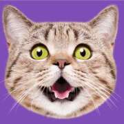 ヒメ日記 2025/07/30 10:30 投稿 うい 鹿児島ちゃんこ霧島店