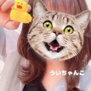 ヒメ日記 2025/08/05 19:33 投稿 うい 鹿児島ちゃんこ霧島店