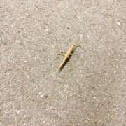 ヒメ日記 2025/08/11 00:49 投稿 うい 鹿児島ちゃんこ霧島店