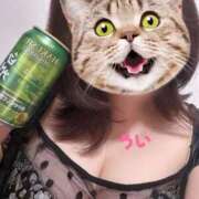 ヒメ日記 2025/10/16 20:19 投稿 うい 鹿児島ちゃんこ霧島店