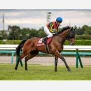 ヒメ日記 2025/11/16 12:09 投稿 うい 鹿児島ちゃんこ霧島店