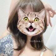 ヒメ日記 2025/11/20 09:49 投稿 うい 鹿児島ちゃんこ霧島店