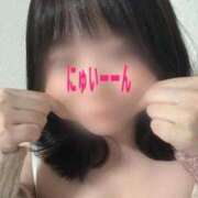 ヒメ日記 2025/11/24 12:09 投稿 うい 鹿児島ちゃんこ霧島店