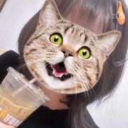 ヒメ日記 2025/11/27 09:39 投稿 うい 鹿児島ちゃんこ霧島店