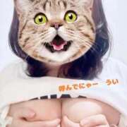 ヒメ日記 2025/12/02 01:29 投稿 うい 鹿児島ちゃんこ霧島店