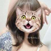 ヒメ日記 2026/01/13 09:49 投稿 うい 鹿児島ちゃんこ霧島店