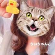 ヒメ日記 2026/03/12 08:59 投稿 うい 鹿児島ちゃんこ霧島店