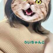 ヒメ日記 2026/03/28 21:39 投稿 うい 鹿児島ちゃんこ霧島店