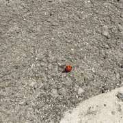 ヒメ日記 2026/04/16 12:29 投稿 うい 鹿児島ちゃんこ霧島店