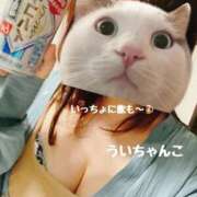 ヒメ日記 2026/05/01 13:09 投稿 うい 鹿児島ちゃんこ霧島店